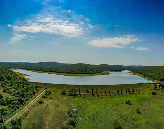 Instagram post image