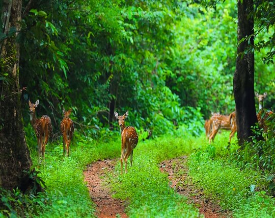 Instagram post image