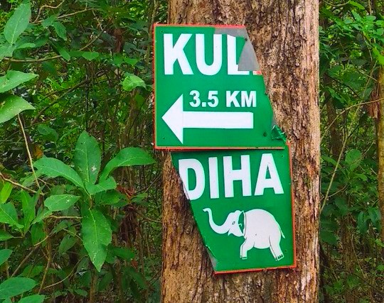 Instagram post image