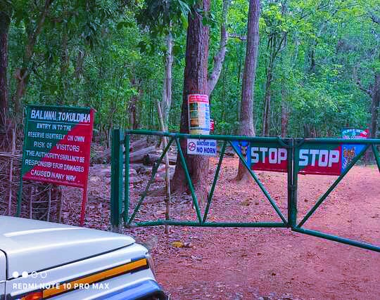 Instagram post image