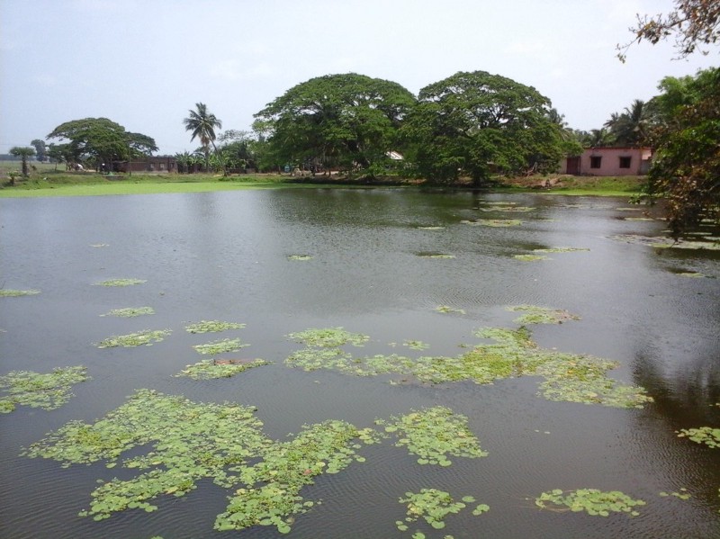 Dharma Pokhari